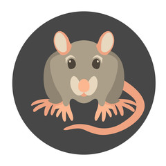 Rat cartoon vector illustration style Flat  front