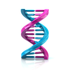 Blue an purple DNA molecule icon