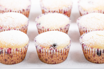 fresh homemade Muffin on white background