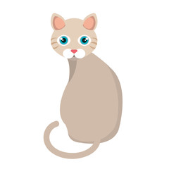 cat cute pet icon vector illustration design