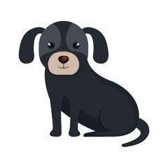 cute dog pet icon vector illustration design