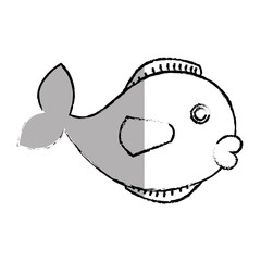 cute fish pet icon vector illustration design