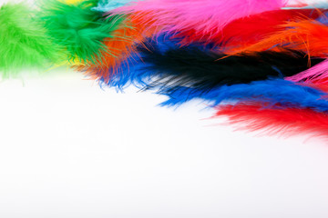Colored, light bird feathers on white background.