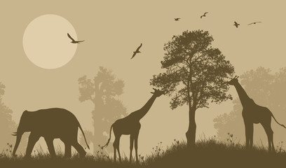Fototapeta na wymiar Safari wild animals silhouette