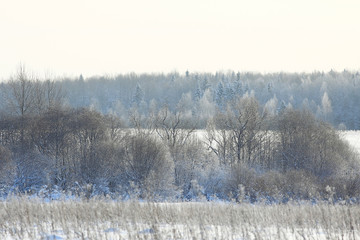 Winter landscape in the countryside forest snow field