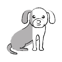 cute dog pet icon vector illustration design