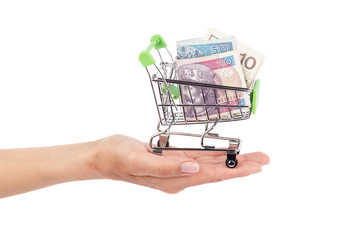 Polish zloty in the shopping pushcart on woman's palm, isolated