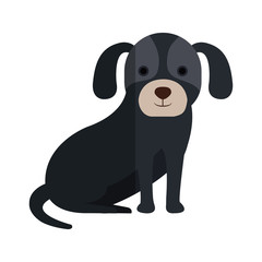 cute dog pet icon vector illustration design