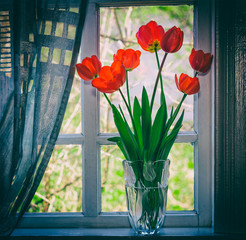 Plakaty  bukiet kwiatów czerwone tulipany w szklanym wazonie na zbliżenie parapet. retro przyciemniane zdjęcie z winietą