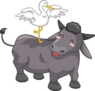 Crane Carabao Symbiotic Relationship