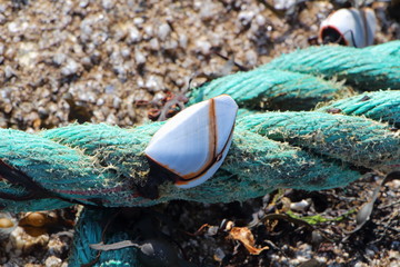 Pouce-pied fixé sur une corde