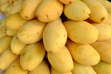 Close up Ripe Mango. (Selective Focus)