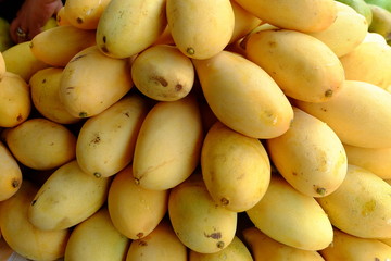 Close up Ripe Mango. (Selective Focus)