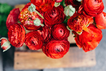 Bouquet of red ranunculus flowers on a rustic background. Close up