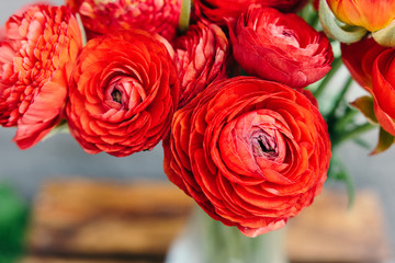 Bouquet of red ranunculus flowers on a rustic background. Close up