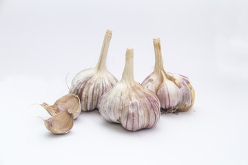 garlic