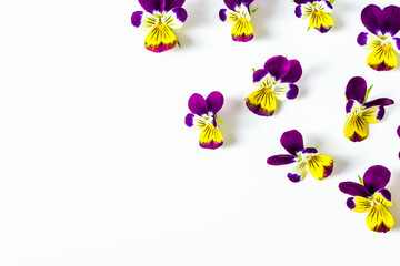 Floral frame with violet flowers on white background