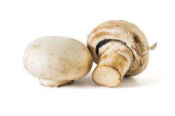 Mushrooms champignons