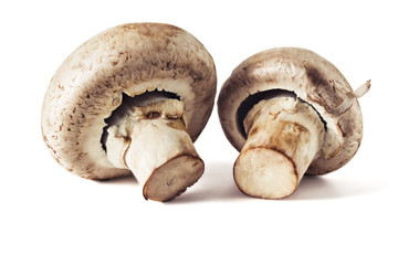 Mushrooms champignons