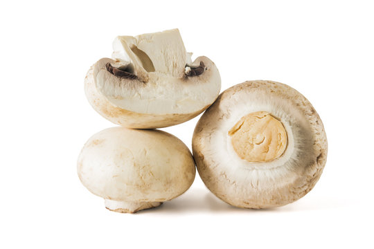 Mushrooms champignons