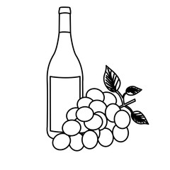 monochrome silhouette with bottle of wine and bunch of grapes vector illustration