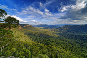 Fototapeta na wymiar Mitchell's Ridge Lookout, Mount Victoria, Blue Mountains, Australia.