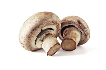 Mushrooms champignons