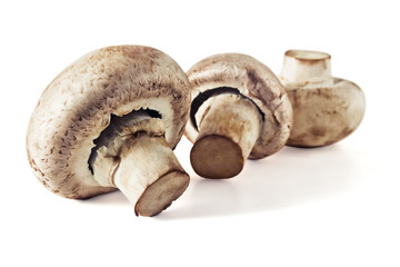 Mushrooms champignons