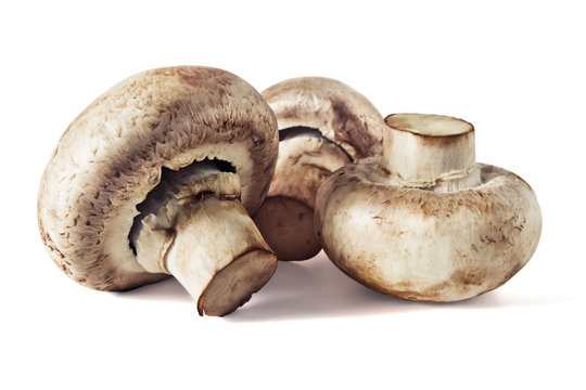 Mushrooms champignons