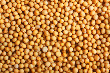 Whole mustard