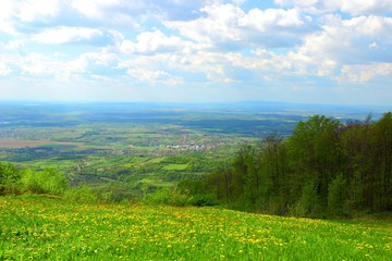 Spring landscape with green meadow and cloudy sky