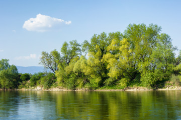 Beautiful green trees on the river shore reflecting in the water with blue sky and white clouds