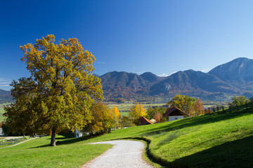 Fototapeta na wymiar Herbst in der Berglandschaft am Kochelsee