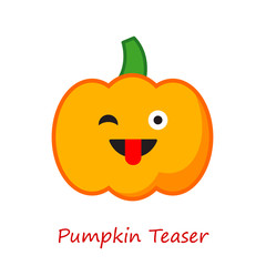 Banner Pumpkin Emotions. Vector illustration.
