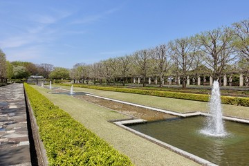 春の昭和記念公園