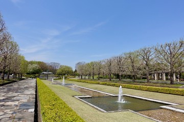 春の昭和記念公園