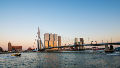 Erasmus bridge Rotterdam