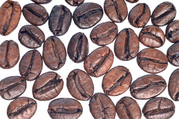 Coffee beans isolated in white background