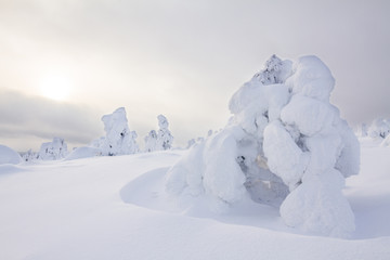 Fototapeta na wymiar Winter in Lappland
