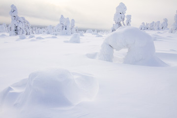 Winter in Lappland