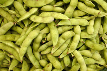 pea bankground texture