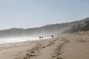 windy beach