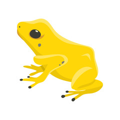 Poison dartfrog phyllobates terribilis a dangerous frog from the tropical forest vector