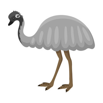 Australia wild ostrich animal cartoon character flat style bird emu forest vector illustration.