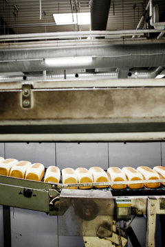 Bread loafs on conveyor belt in industry