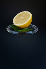 Half of fresh lemon with green leaves on glass plate with black background.