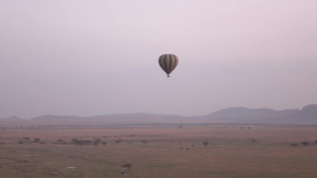 AERIAL: Safari hot air balloon rising above vast savanna plains rolling into the distance in Serengeti National Park at purple light dawn. Happy tourists traveling through air in African wilderness