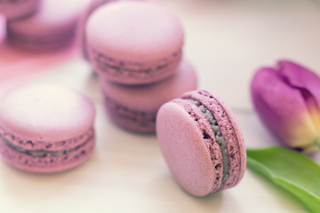 Violet sweet delicious macaroons and fresh tulips on white background. Shallow depth of field. Coloring toned photo.