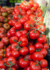 Fresh tomatoes on market 