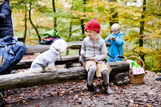 Girl sitting with Bichon Frise sitting on log in forest - Powered by Adobe